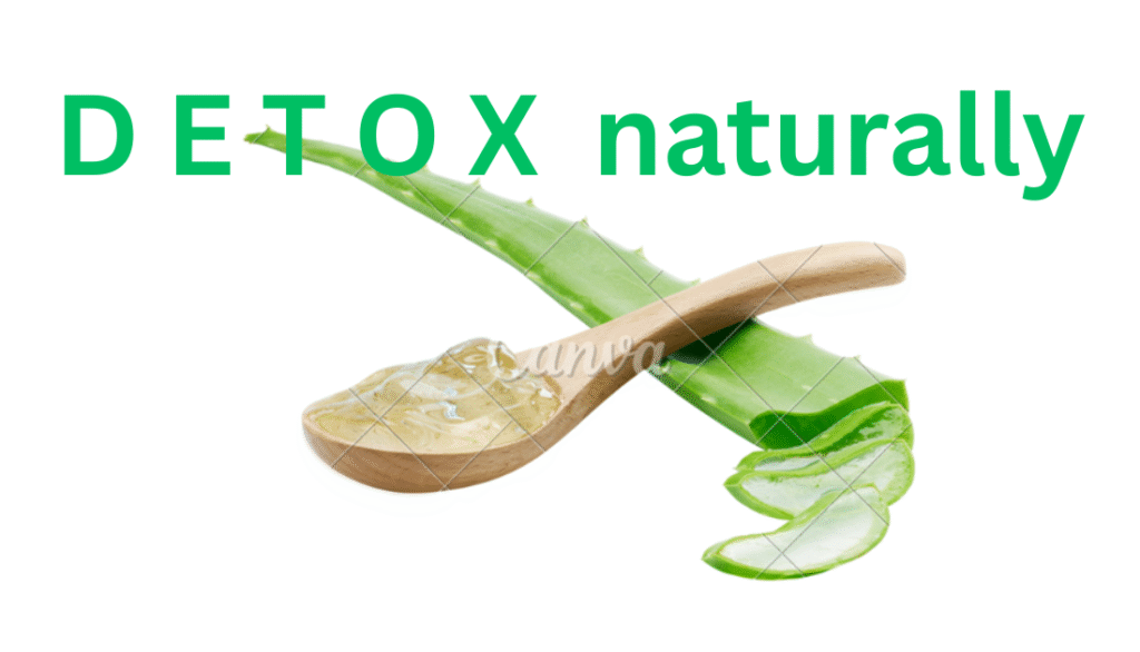 Aloe Vera for Digestion